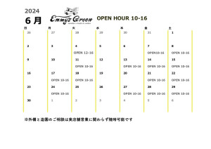 Emmy's Green 営業日